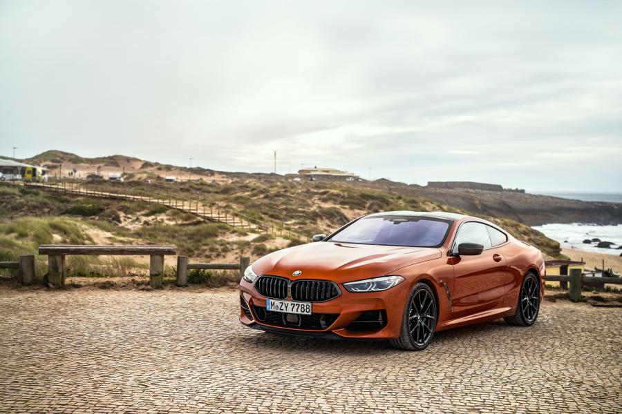  BMW M850i xDrive Carbon Package (G15) 2018 года  (WW) (фото 283 из 287)